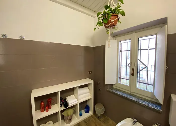 Nicolaus * سيستو كالينْدي