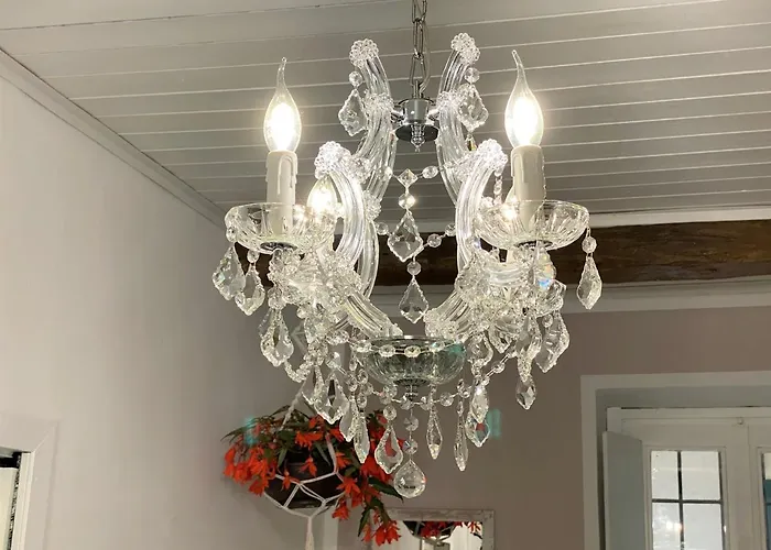 Nicolaus * سيستو كالينْدي