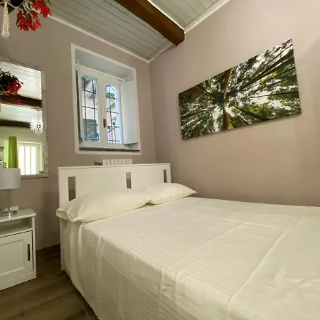 Nicolaus 세스토 칼렌데