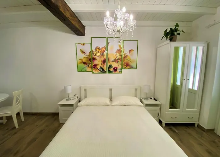 Nicolaus 塞斯托卡伦代