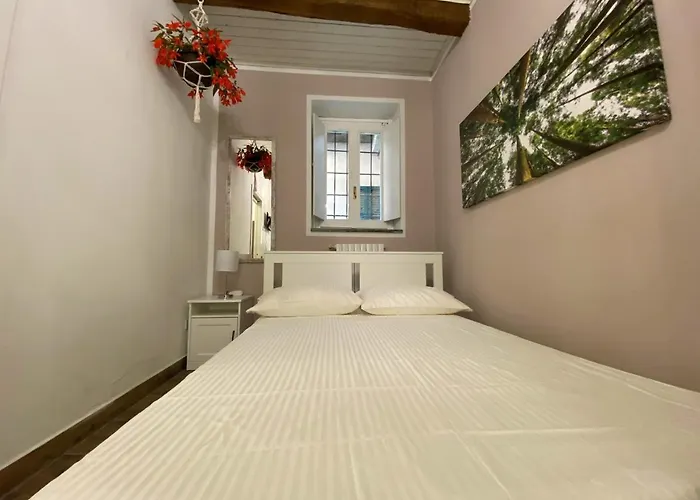 Nicolaus Apartamento *