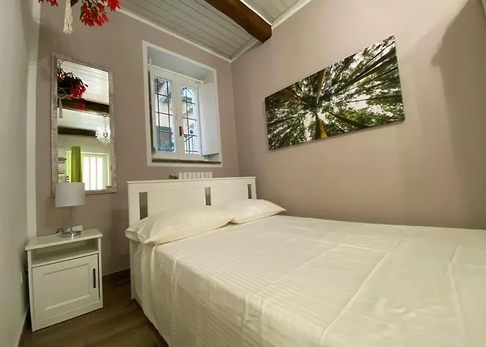 Nicolaus 塞斯托卡伦代