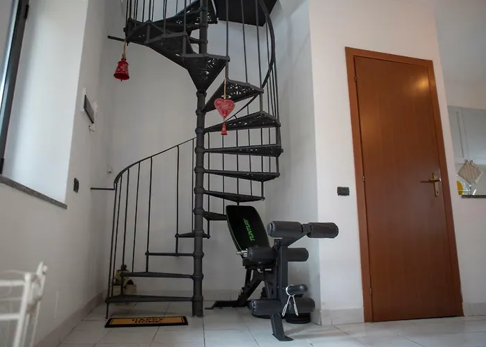 Nicolaus 塞斯托卡伦代