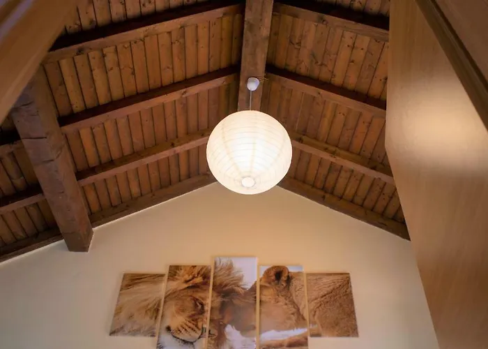 公寓 Nicolaus 塞斯托卡伦代