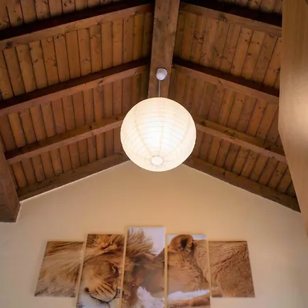 Apartment Nicolaus Sesto Calende